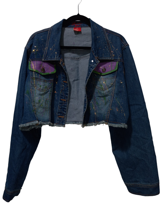 Blue Denim Jacket Denim Clothes Mentor, Size 2x