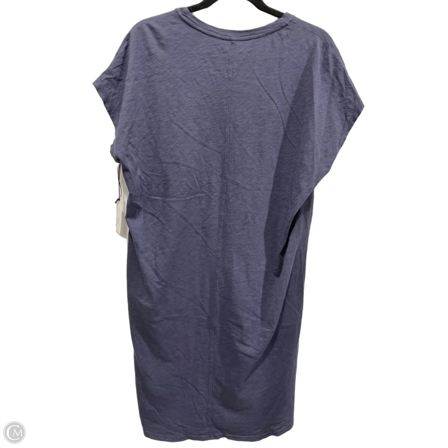 Dress Casual Short By Velvet By Graham & Spencer In Blue, Size: S