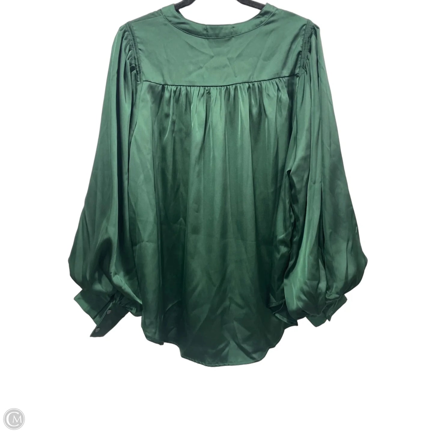 Blouse Long Sleeve By Clothes Mentor In Green, Size: L