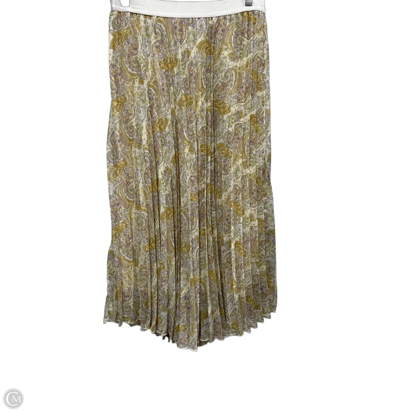 Skirt Maxi By Wdny In Paisley Print, Size: Xl