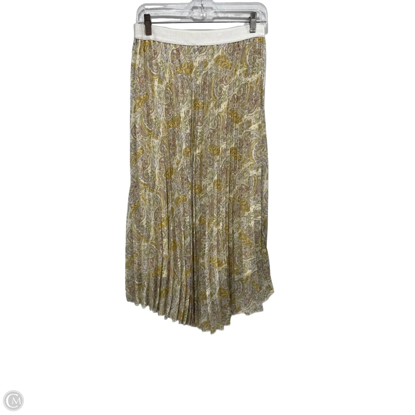 Skirt Maxi By Wdny In Paisley Print, Size: Xl