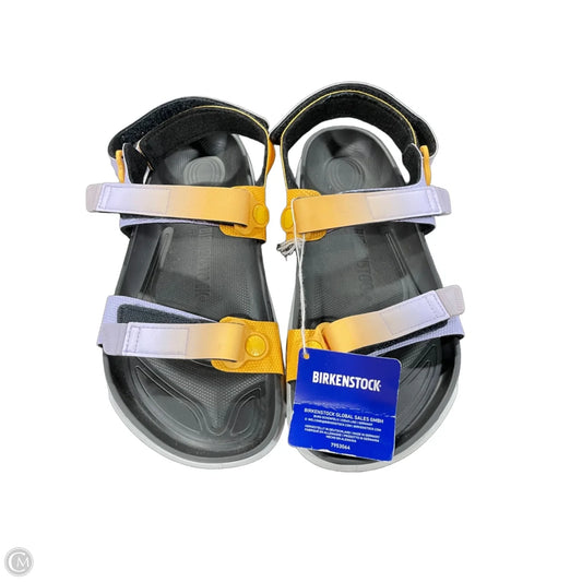 Sandals Flats By Birkenstock In Multi-colored, Size: 10